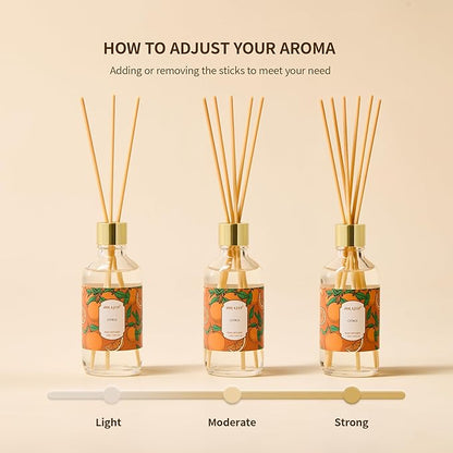 Airkeep Reed Diffuser Oil Set with Reed Sticks,Citrus Aromatherapy Oil Scent Diffuser for Home Office Bathroom Decoration Perfume and Gifts 3.38oz/100ml