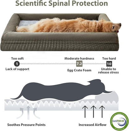 WNPETHOME Giant Dog Bed, Washable Dog Couch with Removable Waterproof Cover, Orthopedic Large Pet Sofa Bed with Bolster Sides for Sleeping