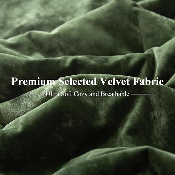 Ivellow Crushed Velvet Comforter Set Queen Green Comforter Set 5pcs Ultra Soft Lightweight Breathable Bedding Set Luxury Cozy Flannel Comforter Queen Size (1 Comforter,2 Pillow Shams, 2 Euro Shams