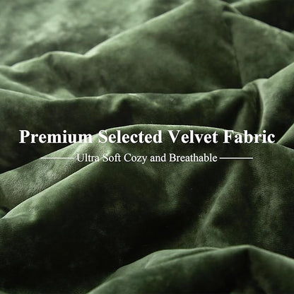Ivellow Crushed Velvet Comforter Set Queen Green Comforter Set 5pcs Ultra Soft Lightweight Breathable Bedding Set Luxury Cozy Flannel Comforter Queen Size (1 Comforter,2 Pillow Shams, 2 Euro Shams