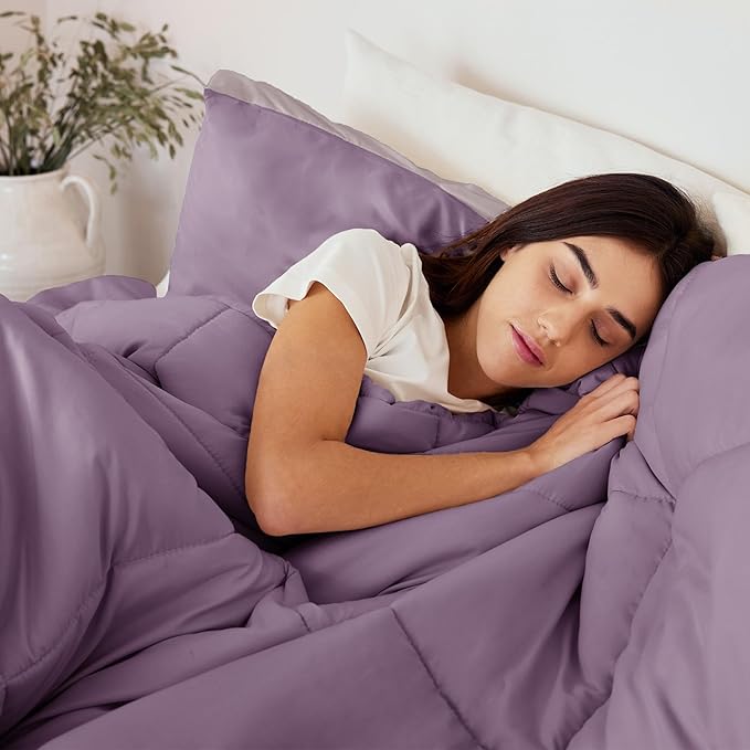 Exclusivo Mezcla Lightweight Reversible Twin Size Comforter Set, Down Alternative Comforter with 1 Pillow Sham, Twin Size Bedding Set for All Seasons, Dusty Lavender/Lilac Ash