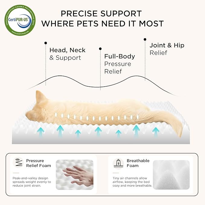 Bedsure Dog Bed for Small Dogs - Comfy Flat Puppy Beds with Removable Washable Cover, Orthopedic Egg Crate Foam Pet Mat, Suitable for Pet Up to 15 lbs