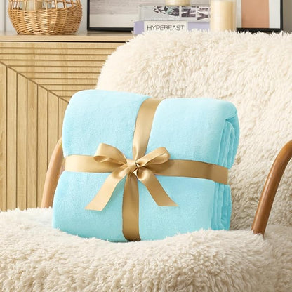 Hansleep Fleece Robin Egg Blue Queen Blanket, Super Soft Flannel Fuzzy Plush Cozy Blanket for All Seasons, Robin Egg Blue, Queen 90x90 Inches