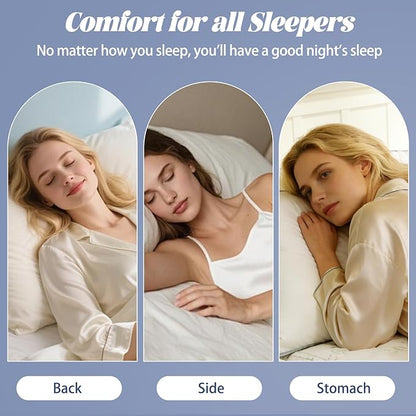 Luxury Goose Feather Down Pillow Standard Size Set of 2,Premium 3-Chamber Bed Pillows for Deep Sleep,900+ Fill Power,400 Count Cotton Shell,Hotel Quality Pillow for Side, Back Sleepers,20" x 26"
