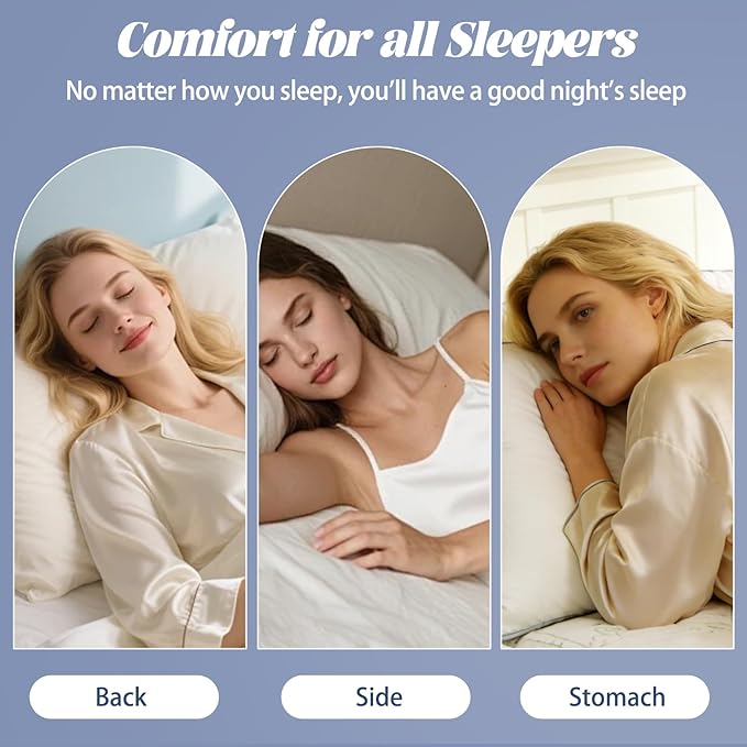 Luxury Goose Feather Down Pillow King Size Set of 2,Premium 3-Chamber Bed Pillows for Deep Sleep,900+ Fill Power,400 Count Cotton Shell,Hotel Quality Pillow for Side, Back Sleepers,19" x 35"