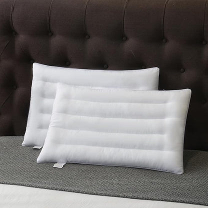 2 Pack Thin Pillow for Stomach and Back Sleeper Low Pillow Flat Bed Pillow Flat Design Pillows Ultra Slim 2.5 Inches Deeper Sleep (Pack of 2)