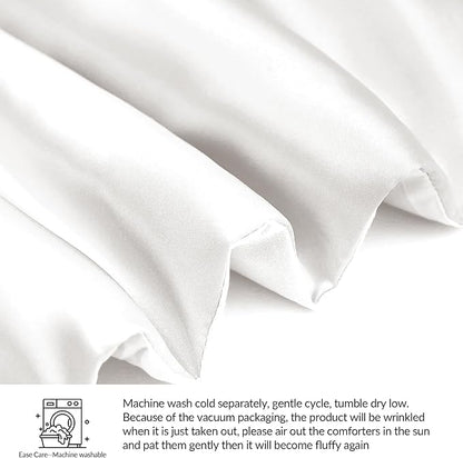 Whale Flotilla 3-Piece Reversible Silky Soft Queen Comforter Bedding Set, Luxurious Satin Comforters Full Size with 2 Satin Pillowcases, Lightweight Duvet for All Seasons, White