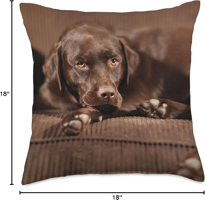 Sleepy Chocolate Lab Labrador Retriever Throw Pillow
