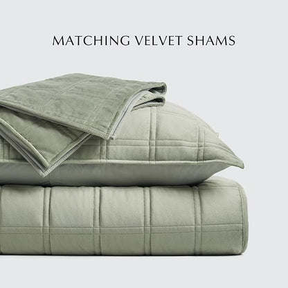 EVERGRACE 3 Pieces Luxurious Velvet Quilt King Size, Ultra Soft Bedspread Coverlet Set, Double Box Stitch Lightweight Velvet Comforter for All Season with 2 Shams, Sage Green, 108"x96"