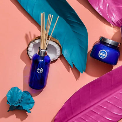 Capri Blue Coconut Santal Reed Diffuser Set - Includes Reed Diffuser Sticks, Fragrance Oil, and Glass Bottle - Luxury Scented Room Fresheners - Cobalt Blue (8 fl oz)