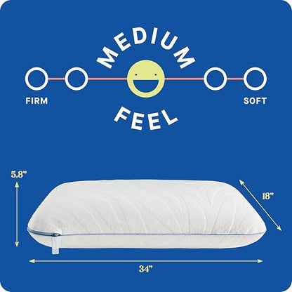 Sealy Dreamlife King Size Memory Foam Cooling Pillow with Surface Guard Technology, Removable Machine-Washable Cover, 1 Year Limited Warranty, White