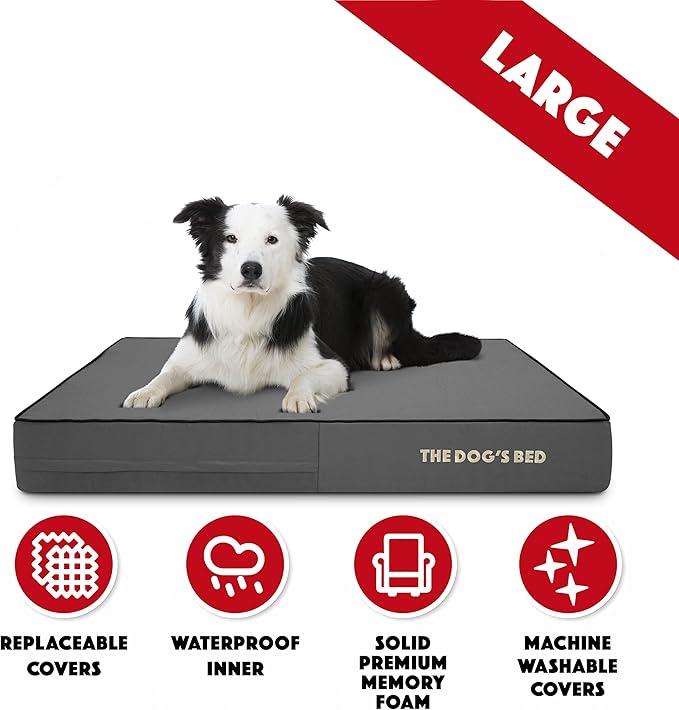 The Dog’s Bed Orthopedic Memory Foam Dog Bed Mattress, Oxford Fabric, Grey with Black Trim, L, 6-Inch