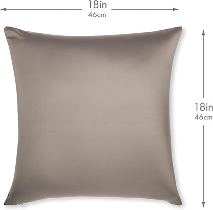 PILLOWY 18" x 18" Throw Pillow - Stone Grey: 1 PCS Luxurious Premium Microbead Pillow with 85/15 Nylon/Spandex Fabric. Forever Fluffy, Outstanding Beauty & Support. Silky, Soft & Beyond Comfortable