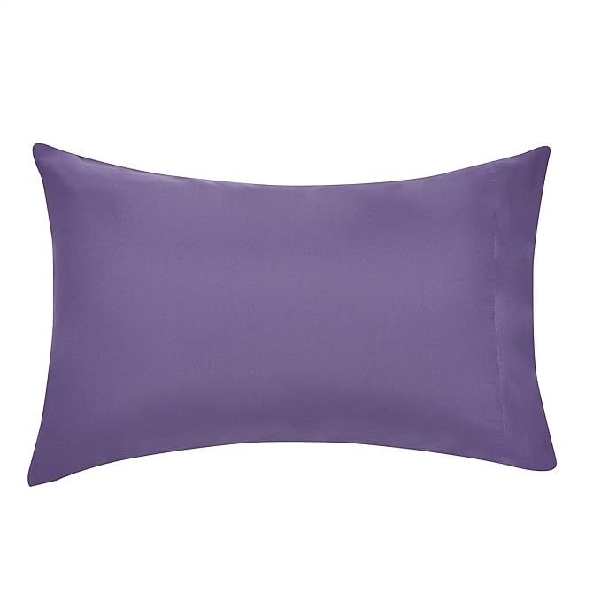 Amazon Basics 5-Piece Lightweight Microfiber Comforter Set with Sheets, Bed-in-a-Bag, Purple Floral Bedding, Twin/Twin XL