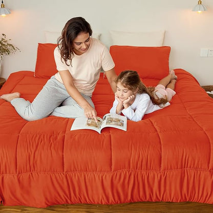 Exclusivo Mezcla Lightweight Reversible Full Queen Size Comforter Set, Down Alternative Comforter with 2 Pillow Sham, Full Queen Size Bedding Set for All Seasons, Burnt Orange/Brich Beige