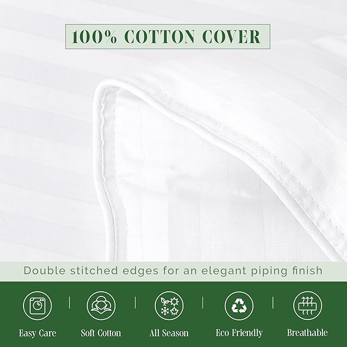 Elegant Comfort 3-Piece Stripe Cotton Comforter Set - 100% Egyptian Cotton Premium Hotel Quality - Box Stitched, All Season Down Alternative Duvet Insert with Corner Tabs, Twin, White