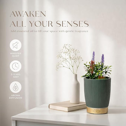 Earnest Living Essential Oil Diffuser Ceramic Artificial Succulent Plants Potted Diffuser 100 ml for Lavender Essential Oils Timers Night Lights and Auto Off Humidifier Aromatherapy Diffusers for Gift
