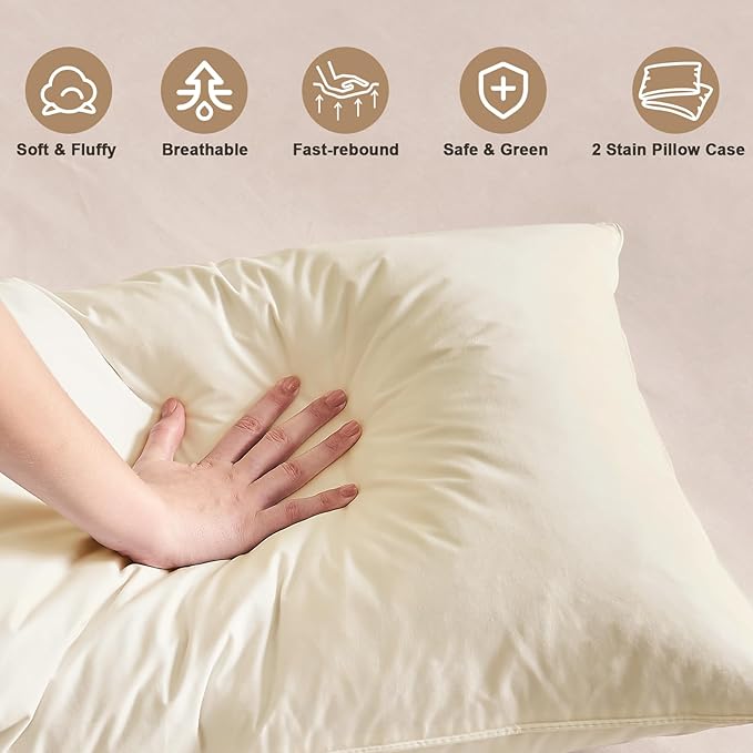 BHZ Beige Satin Goose Down Feather Pillows Standard Size Set of 2 with Pillowcase for Hair and Skin, Cooling Pillow Cases Similar to Silk Pillow Cases, Decor for Women, Mom Men