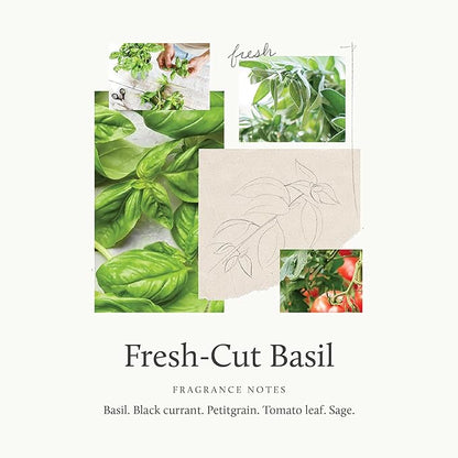 Thymes Reed Diffuser Oil - Fresh-Cut Basil - 7.75 Fl Oz