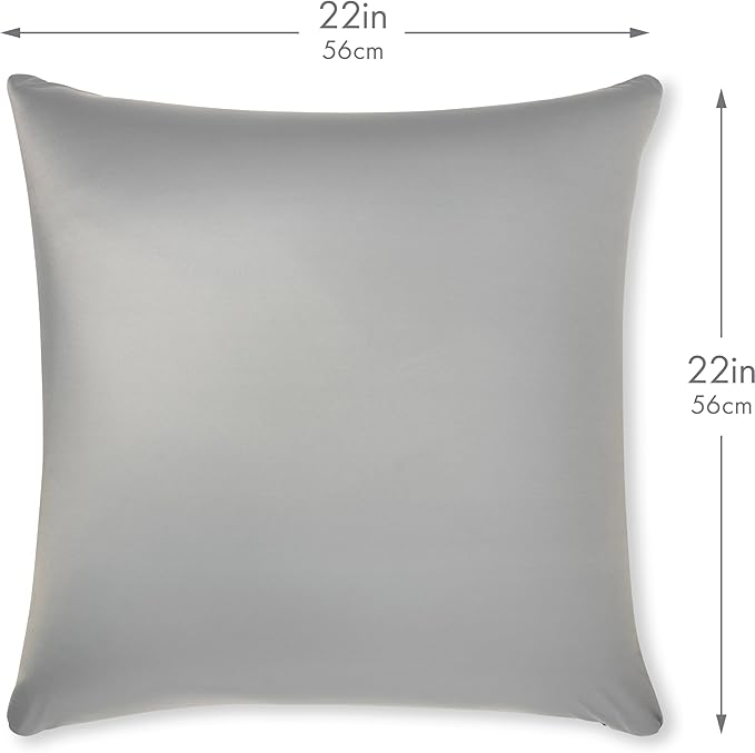 PILLOWY 22" x 22" Throw Pillow - Light Grey: 1 PCS Luxurious Premium Microbead Pillow with 85/15 Nylon/Spandex Fabric. Forever Fluffy, Outstanding Beauty & Support. Silky, Soft & Beyond Comfortable