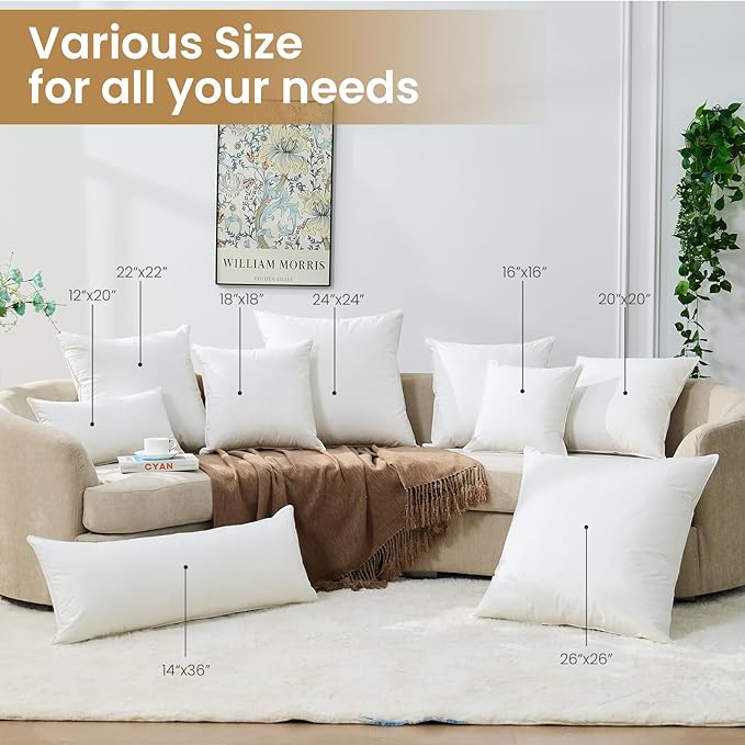 BHZ 22x22 Throw Pillow Insert, Down Feather Pillow Inserts, Decorative Soft Square White 22 x 22 Inch Pillows Insert for Couch Bed Dorm Sofa with Cover