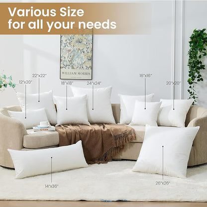BHZ 22x22 Throw Pillow Insert, Down Feather Pillow Inserts, Decorative Soft Square White 22 x 22 Inch Pillows Insert for Couch Bed Dorm Sofa with Cover