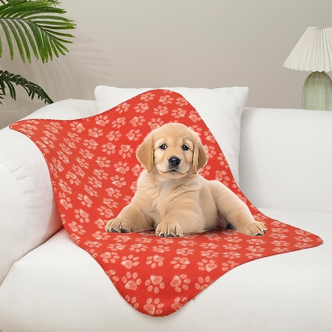 CAI TENG 3 Pack Pet Blankets for Small Dogs Dog Blanket Cat 21x30 Inch Soft Pet Fleece Blanket Warm Puppy Essentials for Bed Cute Paw Printed Throw Dog Red