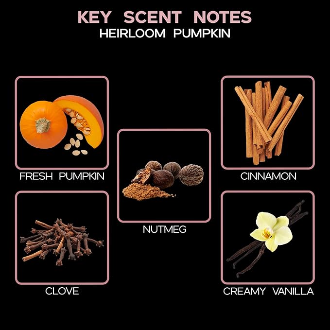 LOVSPA Reed Diffuser Set, Heirloom Pumpkin Scented Oil Diffuser with Sticks, Home Fragrance Accessories for Bathroom Shelf Decor, Aroma Diffusers for Home or Office Fall Decor, USA Made