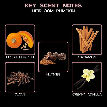 LOVSPA Reed Diffuser Set, Heirloom Pumpkin Scented Oil Diffuser with Sticks, Home Fragrance Accessories for Bathroom Shelf Decor, Aroma Diffusers for Home or Office Fall Decor, USA Made