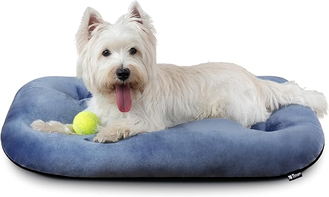 Dog Bed for Small Dogs & Cats 23”x17”, Non-Slip Washable Faux Silver Fox Fur Crate Pad, Durable Oval Pet Mat, Mist Blue