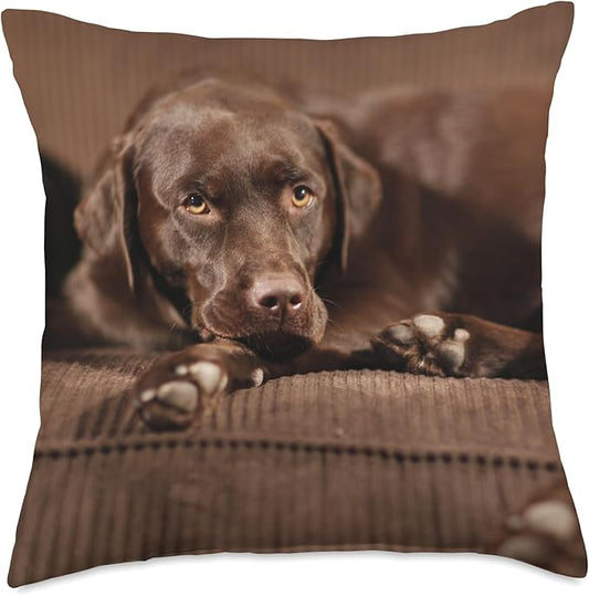 Sleepy Chocolate Lab Labrador Retriever Throw Pillow