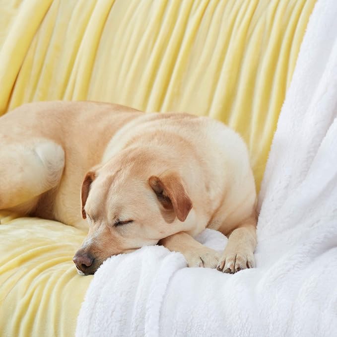 Genteele Sherpa Throw Blanket Super Soft Reversible Ultra Luxurious Plush Blanket, 60 x 80 inches, Yellow/White