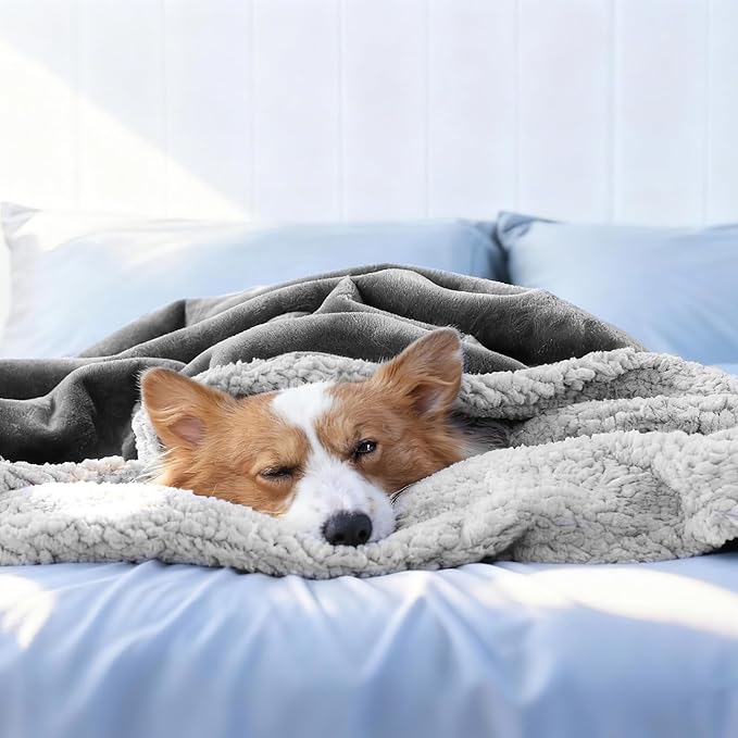 Makigued Waterproof Dog Blanket for Couch & Bed, Reversible Sherpa Fleece Pet Throw with Quiet TPU Barrier, Machine Washable Furniture Protector for Large Dogs & Cats, Queen Size 80x90 Inch, Gray