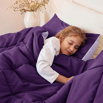 Exclusivo Mezcla Lightweight Reversible Queen Size Comforter Set, Down Alternative Comforter with 2 Pillow Sham, Queen Size Bedding Set for All Seasons, Deep Purple/Lilac