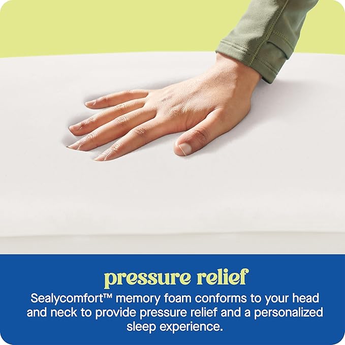 Sealy Dreamlife King Size Memory Foam Cooling Pillow with Surface Guard Technology, Removable Machine-Washable Cover, 1 Year Limited Warranty, White