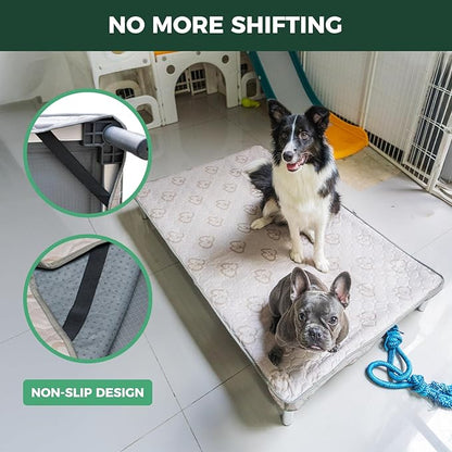 FXW TitanNest Chew-Proof Elevated Dog Bed, Raised Cot for Indoor/Outdoor/Camping Use, Durable & Washable Padded Pet Bed with Exclusive Cover for Large Dogs, 47.0" L x 29.0" W x 7.3" H, Gray