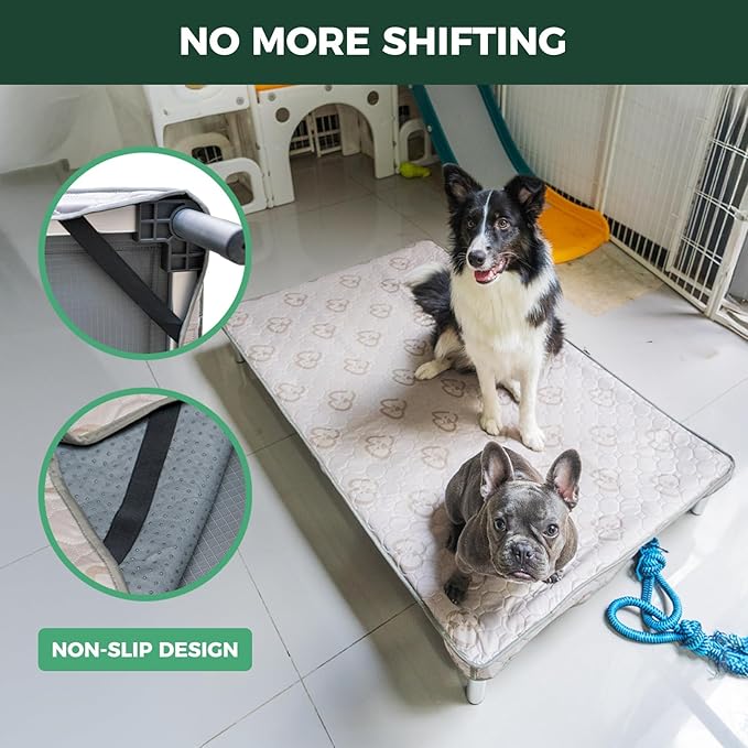 FXW TitanNest Chew-Proof Elevated Dog Bed, Raised Cot for Indoor/Outdoor/Camping Use, Durable & Washable Padded Pet Bed with Exclusive Cover for Medium Dogs, 41.0" L x 27.0" W x 5.0" H, Black