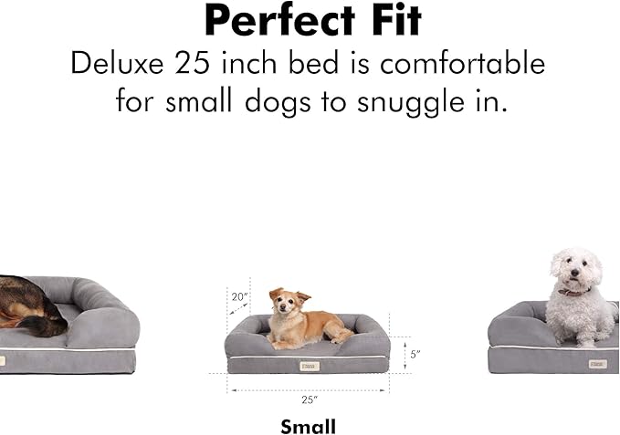 Friends Forever Small Dog Bed, Orthopedic Sofa Memory Foam Mattress, Calming Couch, Wall Rim Pillow, Water Resistant Liner, Washable Cover, Non-Slip Bottom, Chester, Small Khaki Beige