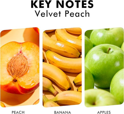 Reed Diffuser Set, Velvet Peach Scent Fragrance Oil Diffuser, Reed Diffusers for Home, Bathroom Air Fresheners & Decor