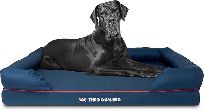 The Dog’s Bed Orthopedic Memory Foam Dog Bed with Bolsters, Oxford Fabric, Blue with Dark Red Trim, XXL