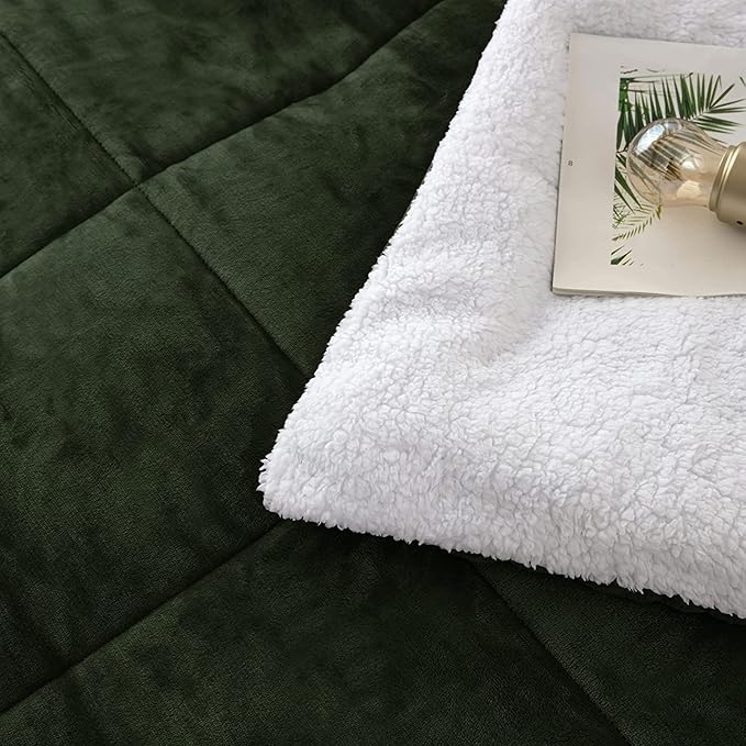 Seward Park Olive Green Sherpa Comforter Set Twin XL Size, All Season Soft Warm Fleece Fall Blanket, Winter College Dorm Bedding Sets with 1 Pillow Sham