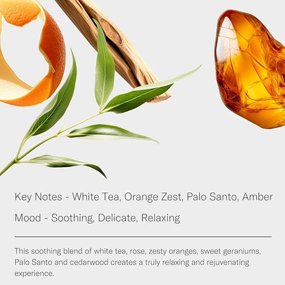 AromaTech White Tea Aroma Essential Oil Blend: Luxury Hotel Inspired Aromatherapy with White Tea, Orange & Palo Santo for Ultrasonic Diffusers & Nebulizers - 16 fl oz, 500 mL