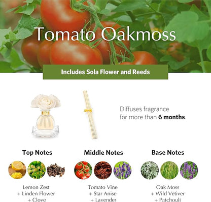 Agraria Monique Lhuillier Tomato Oakmoss PetiteEssence Fragrance Reed Diffuser, 1.7 Oz, Fresh Alluring Sola Flower Earthy Scent Diffusers for Home