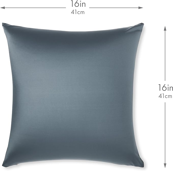 PILLOWY 16"x16" Throw Pillow - Dark Slate Grey: 1Pcs Luxurious Premium Microbead Pillow with 85/15 Nylon/Spandex Fabric. Forever Fluffy, Outstanding Beauty & Support. Silky, Soft & Beyond Comfortable
