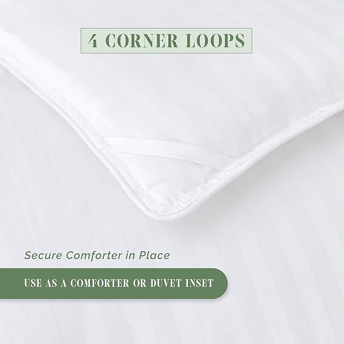 Elegant Comfort 3-Piece Stripe Cotton Comforter Set - 100% Egyptian Cotton Premium Hotel Quality - Box Stitched, All Season Down Alternative Duvet Insert with Corner Tabs, Twin, White