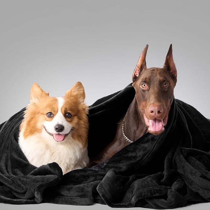 Hansleep Fleece Black Throw XL Blanket, Super Soft Flannel Fuzzy Plush Cozy Blanket for All Seasons, Black, Throw XL 50x70 Inches