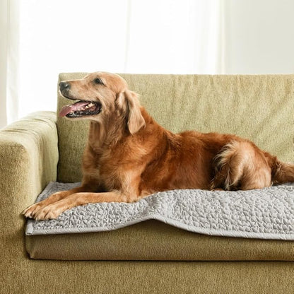 PAULATO BY GA.I.CO. Waterproof Couch Cover – 24x47 Blanket for Sofa Car Seat or Crate – Machine Washable Absorbent Reusable Pad for Puppy Training – Dogs Cats Pets Friendly Protector - Light Grey