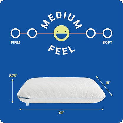 Sealy Dreamlife Queen Size Memory Foam Cooling Pillow with Surface Guard Technology, Removable Machine-Washable Cover, 1 Year Limited Warranty, White (2 Pack)