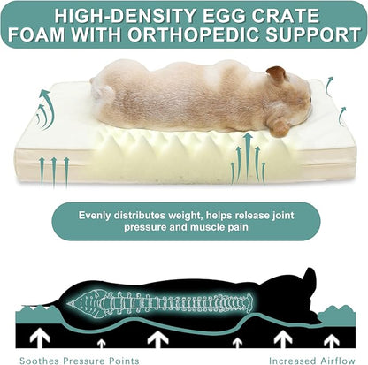 Vonabem Waterproof Dog Beds Medium Sized Dog, Washable Crate Pad 30 inch, Outdoor Orthopedic Foam Puppy Bed with Removable Cover Reversible, Anti-Slip Kennel Pad, 29"x18", Beige