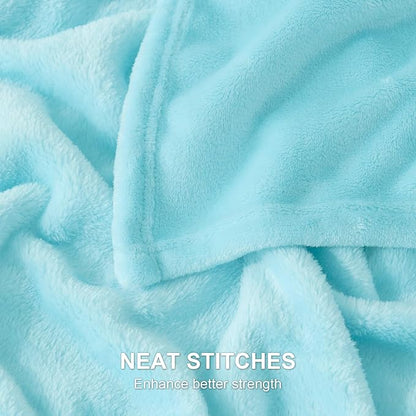 Hansleep Fleece Robin Egg Blue Queen Blanket, Super Soft Flannel Fuzzy Plush Cozy Blanket for All Seasons, Robin Egg Blue, Queen 90x90 Inches